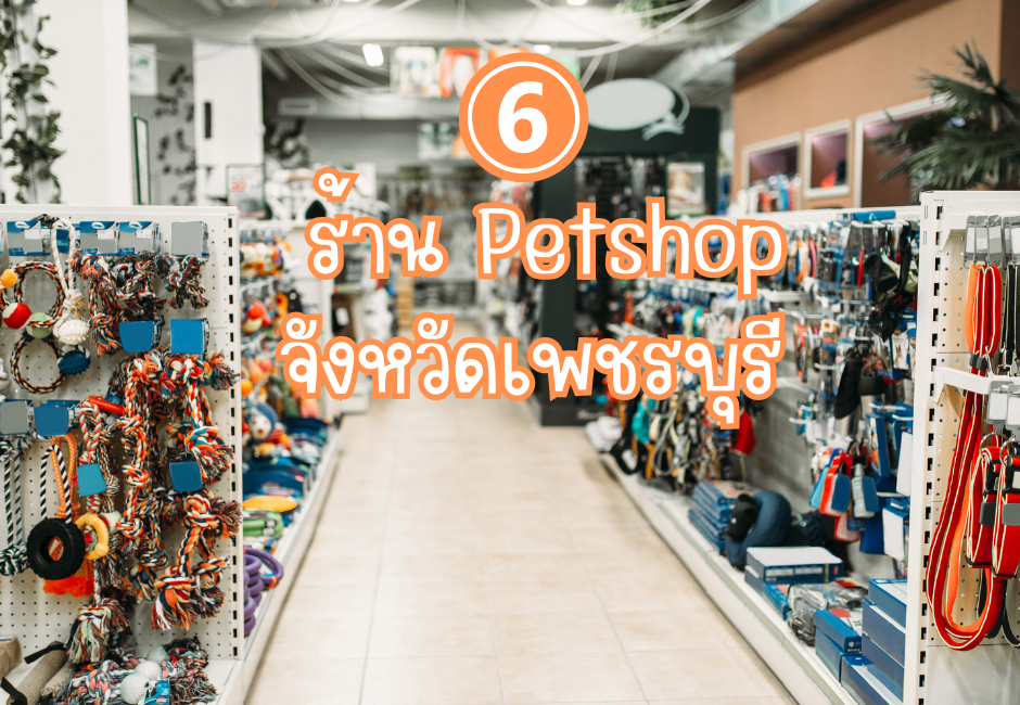 6 ร้าน Petshop แนะนำในจังหวัดเพชรบุรี