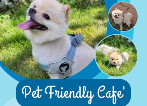 Casa-do-Salil-Pet-Friendly-Cafe