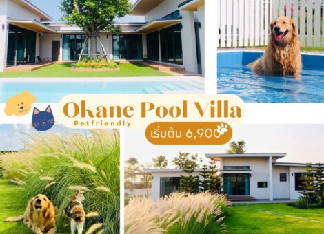 Okane-Pet-Friendly-Pool-Villa