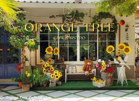 Orange-Tree-cafebistro