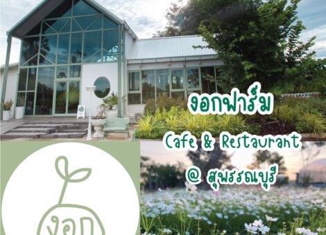 ngokfarm-cafe-restaurant-petfriendly