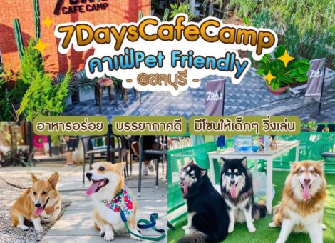 7Days-Cafe-Camp-1