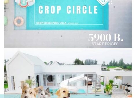 Crop-Circle-Pool-Villa-PetFriendly