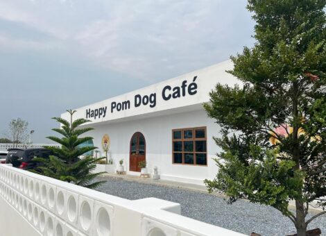 Happy-Pom-Dog-Cafe-1