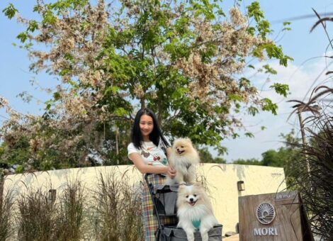 Mori-Kawa-Cafe-PetFriendly-1