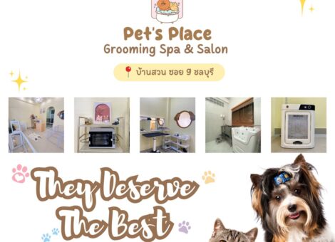 Pets-Place-Grooming-Spa-And-Salon