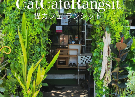 Cat-Cafe-Rangsit1