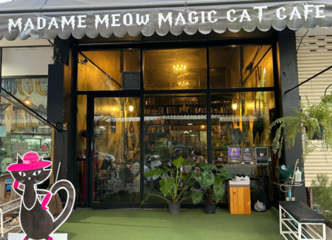 Madame-Meow-Magic-Cat-Cafe1