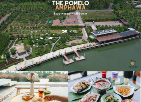 The-Pomelo-Amphawa1